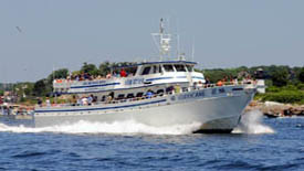 Gloucester Massachusetts Cape Ann Whale Watch Boat | Hurricane II